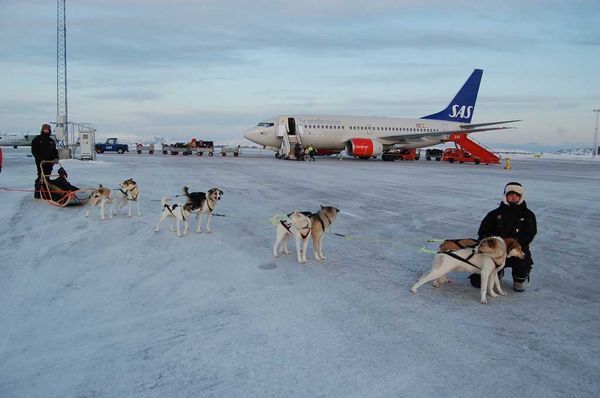 Dog Sled Taxi Services