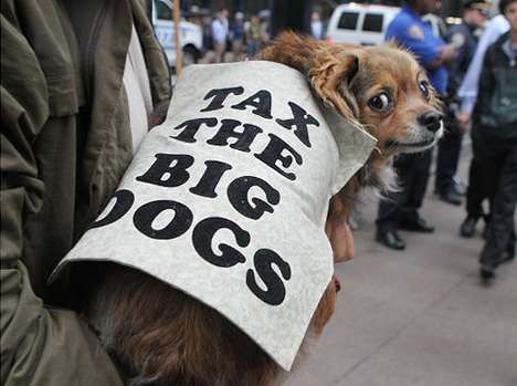 Protesting Pooch Portraits