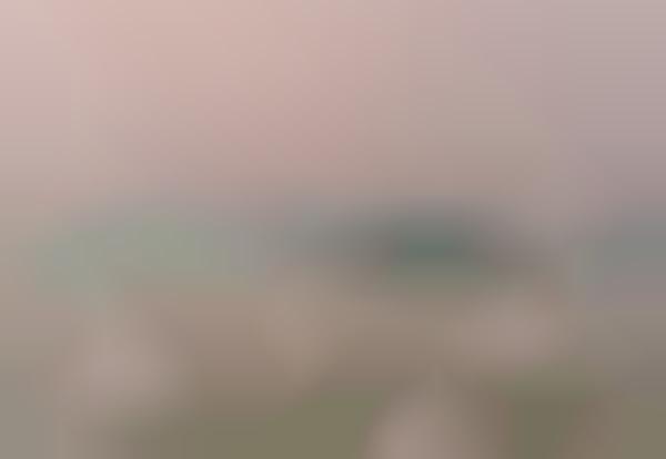 Eerie Travel Fog Photography