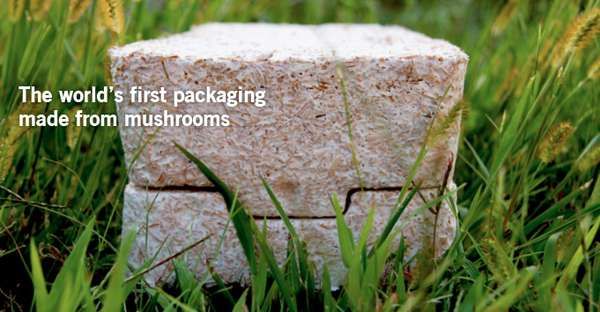 Protective Fungus Packaging