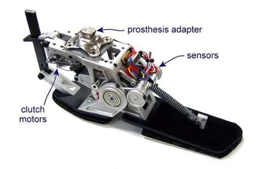 Energy-Recycling Prosthetics