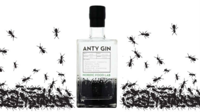 Insect-Infused Alcohol