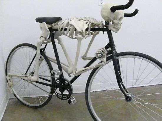 Skeleton Clad Cycles