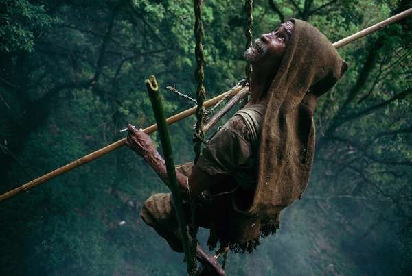 Death-Defying Honey Collectors