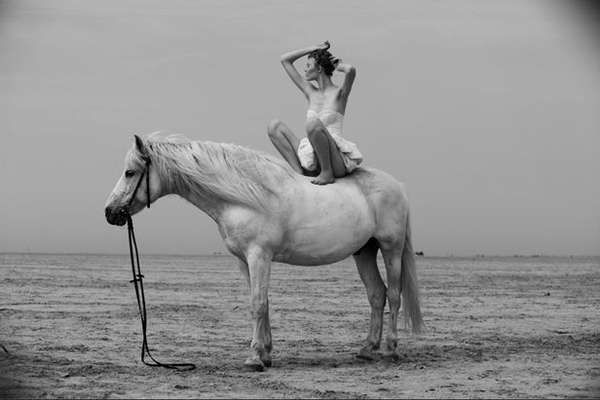 Circus Beach Photography