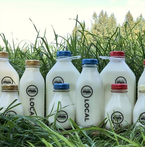 Farm Fresh Milk Deliveries : farm fresh milk delivery