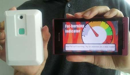 Portable Fitness Detectors