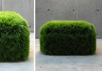 Astroturf Indoor Seating