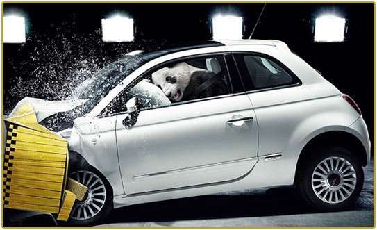 Crash Test Pandas