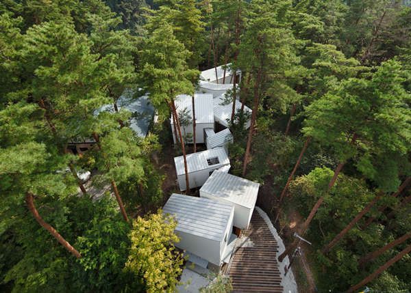 Eco-Friendly Forest Communities