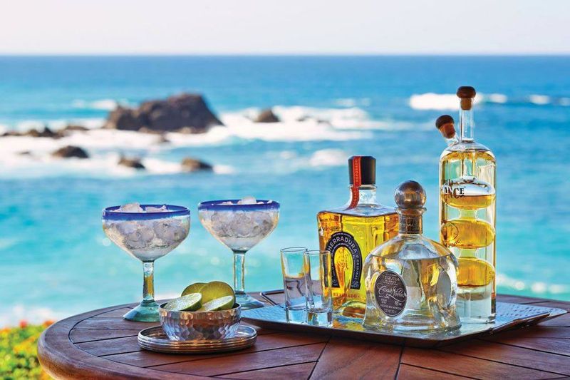 Lavish Tequila Tastings