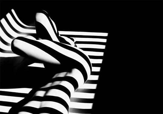 Animalistic Shadowed Photography 