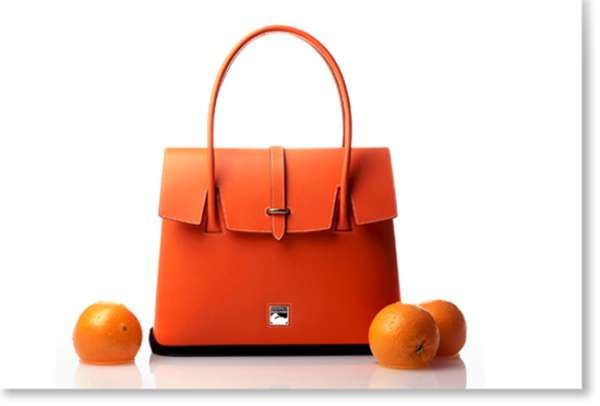 Citrus Handbags