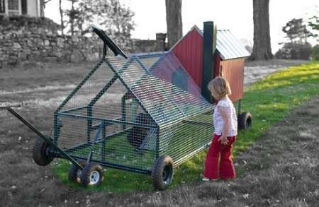 City-Friendly Chicken Coops