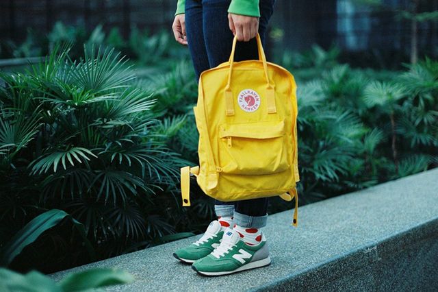 Colorfully Functional Knapsacks