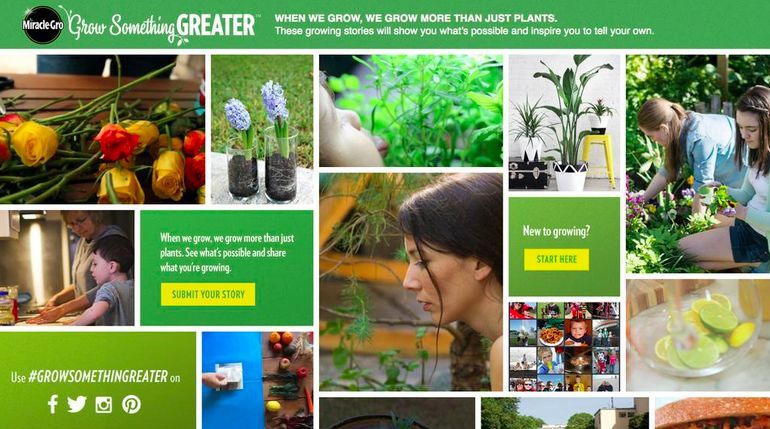 Gardening Inspiration Campaigns