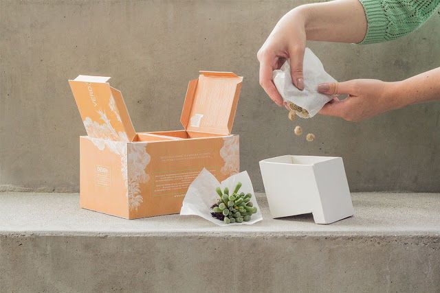 Sculptural Gardening Kits