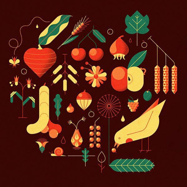 Nature-Inspired Geometric Illustrations