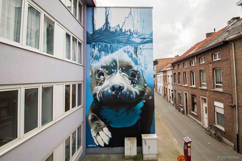 Giant Underwater Dog Murals