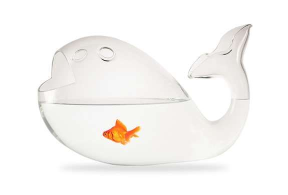 Funky Fish-Shaped Fish Bowls