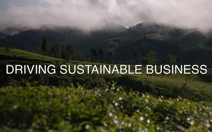 Sustainable Business Incubators