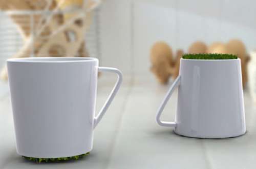 Grassy Coffee Cups