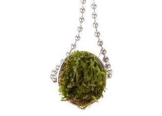 Potted Plant Necklaces