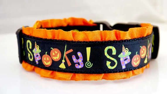 Creepy Canine Collars