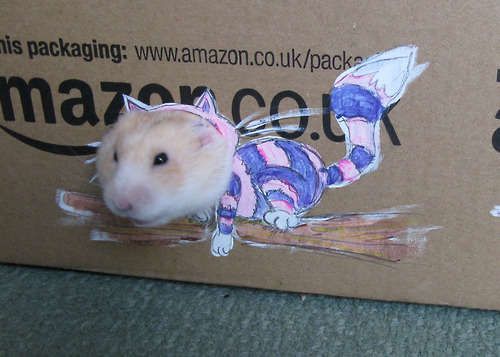 Cutout Hamster Photography