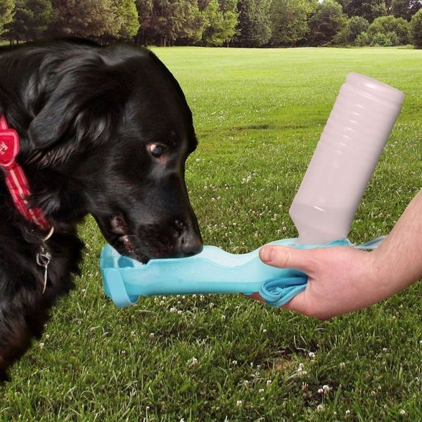 Spill-Proof Dog Feeders