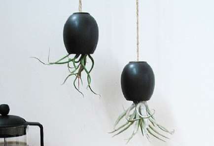 Upside-Down Planters