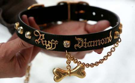 Â£500,000 Ruff Diamonds Dog Collar