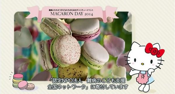 Charitable Cartoon Cat Macarons