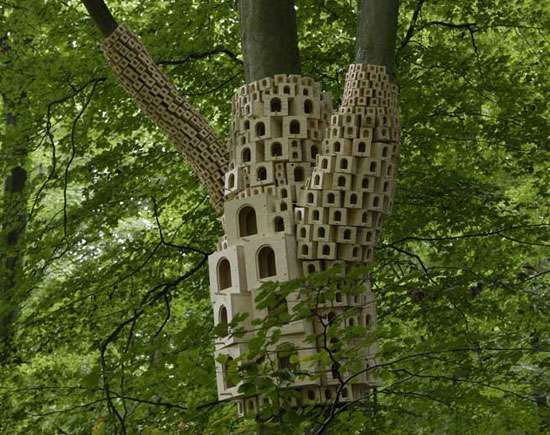 Avian Apartments