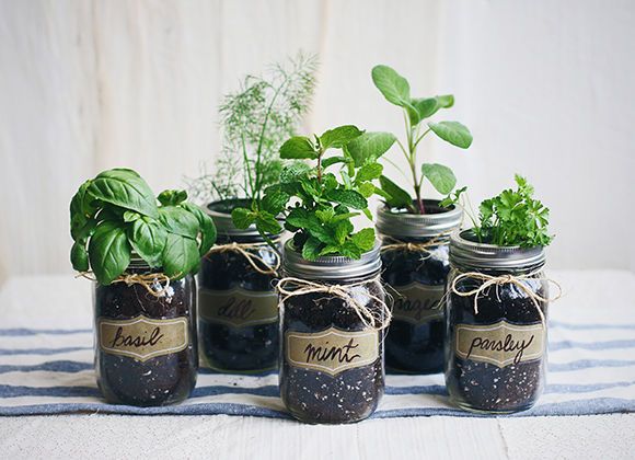 DIY Mason Jar Gardens