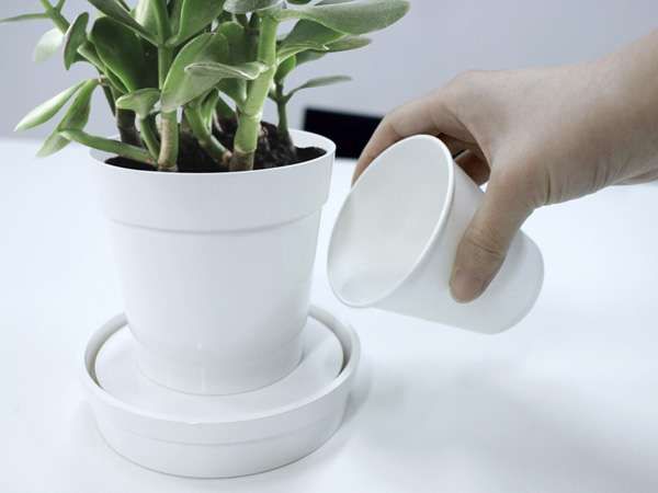 Self-Watering Planters