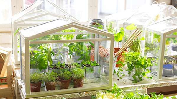 Space-Saving Conservatories