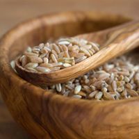 Ancient Heirloom Grains