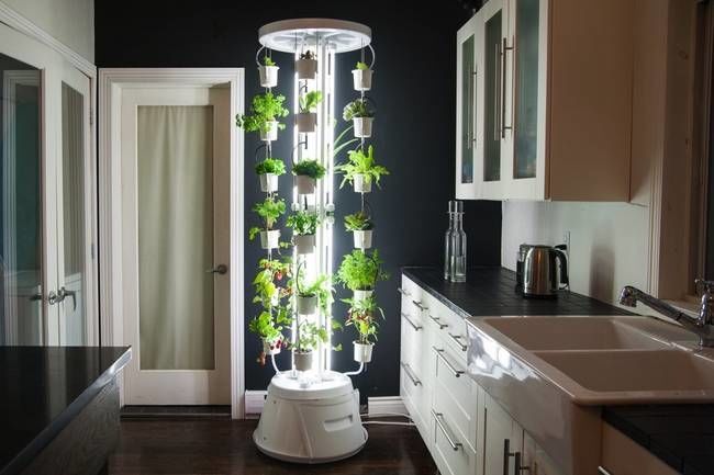 Luminous Vertical Gardens