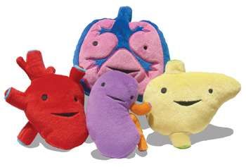 Internal Organ Plushies