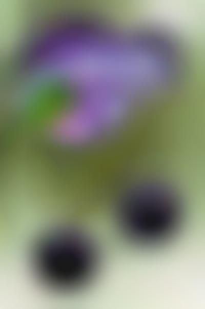 Chromatically Blurred Photography