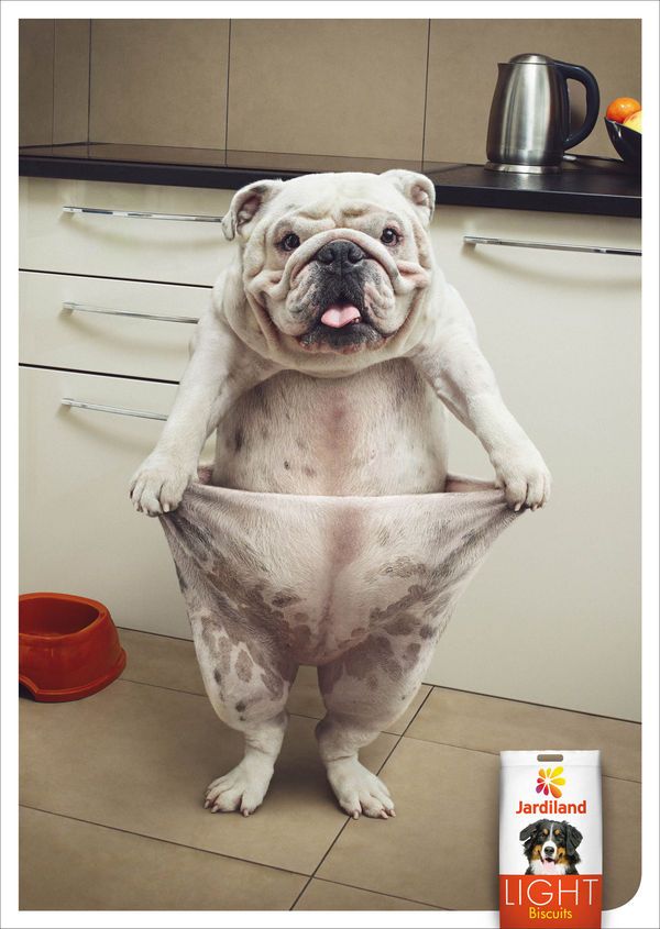 Doggy Weight Loss Ads