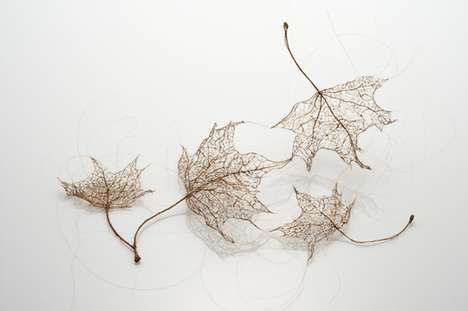 Hairy Flora Art Projects