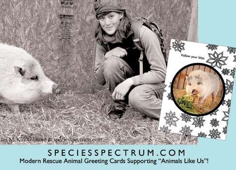 Jes McKay Gilmore, Creator of Species Spectrum (INTERVIEW)