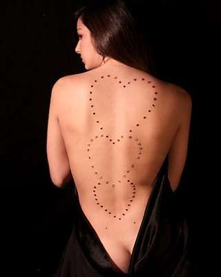 Studded Body Canvases