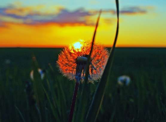 Sublime Sunset Photography