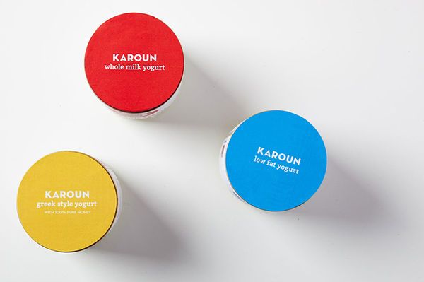 Playful Yogurt Branding