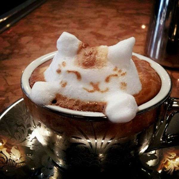 Adorable 3D Latte Art