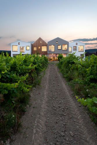 Winery Kindergarten Spaces