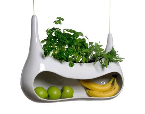 Sculptural Produce Pods